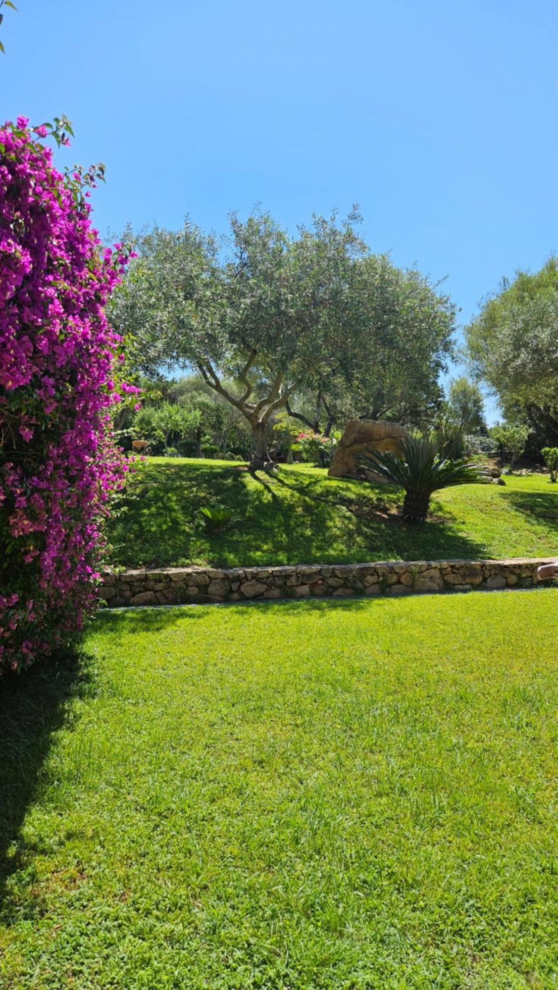 Residenze Coda Cavallo San Teodoro  Eksteriør bilde